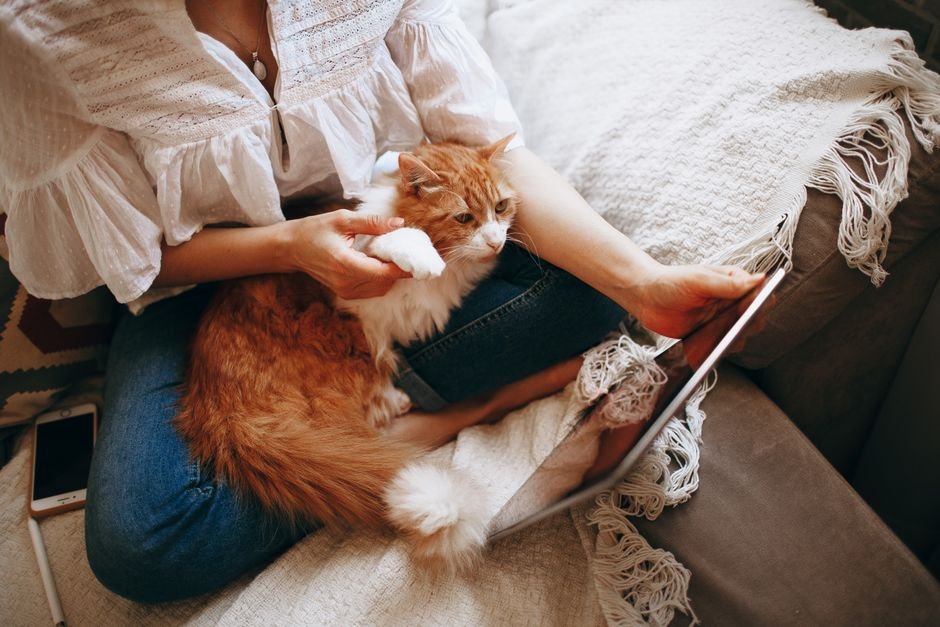 Woman relaxing on a sofa with a ginger cat on her lap