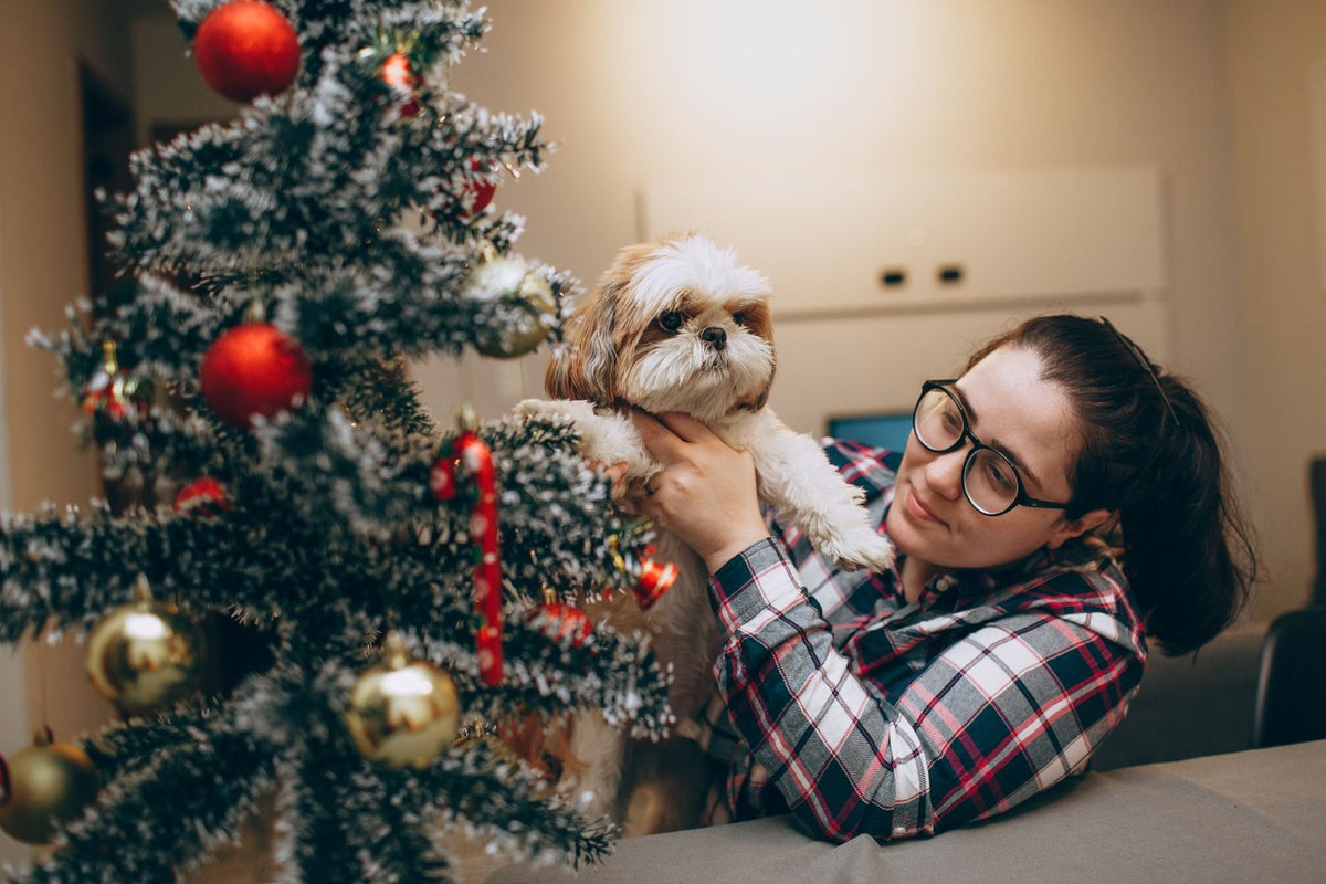 A woman in a plaid shirt holds her Shih Tzu next to a decorated Christmas tree