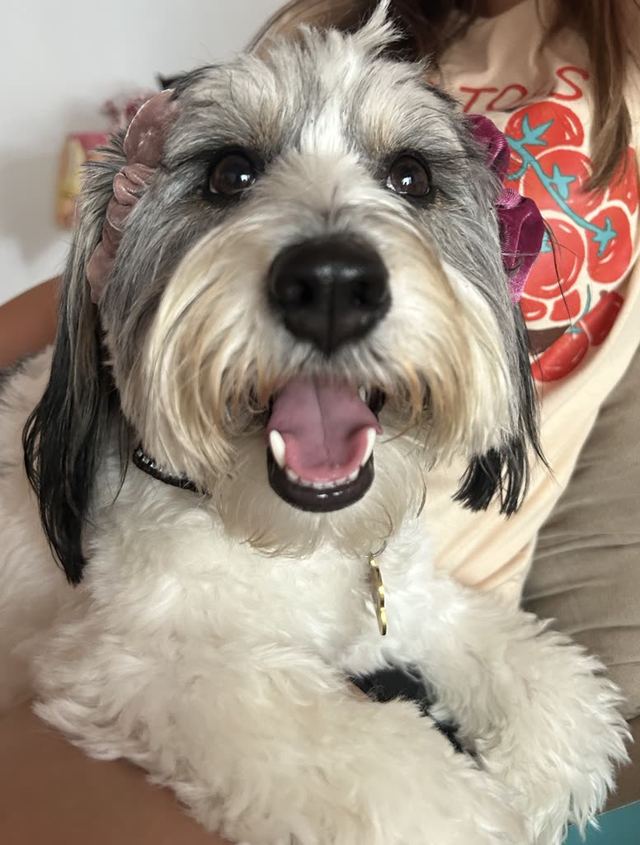 Kiwi, up close and thrilled about it